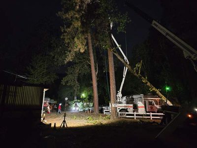 Emergency Tree Removal