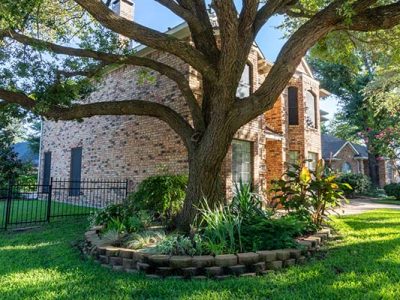 Residential Tree Care
