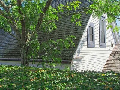Residential Tree Services