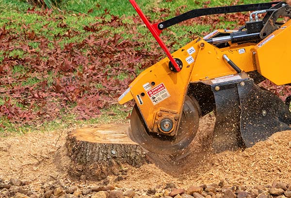 Tree Removal Contractor