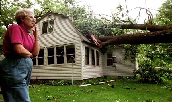 Emergency Storm Damage Tree Removals Emergency Storm Damage Tree Removals